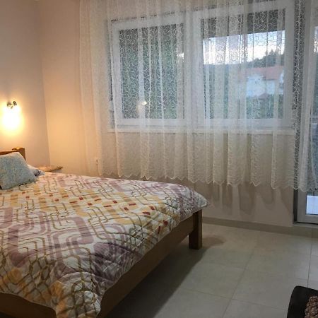 Apartment Vistanova Vrdnik Bagian luar foto