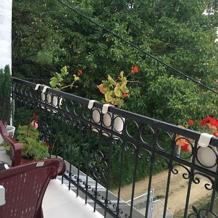 Apartment Vistanova Vrdnik Bagian luar foto