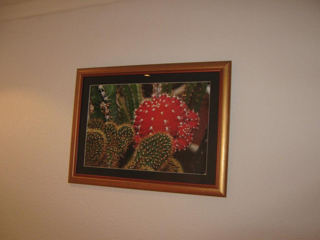 Apartment Vistanova Vrdnik Ruang foto