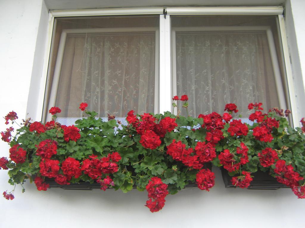Apartment Vistanova Vrdnik Bagian luar foto
